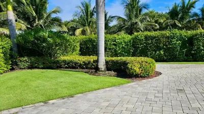 Completed Lawn Care Photo